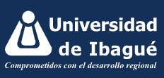 Universidad de Ibague